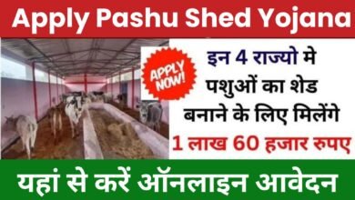 Apply Pashu Shed Yojana