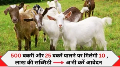 Bakri Palan Loan Apply