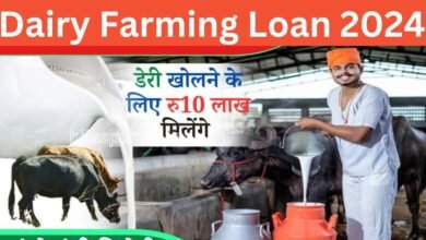 Dairy Farming Loan 2024