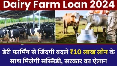 Dairy Farming Loan 2024