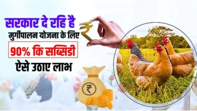 Poultry Farm Scheme