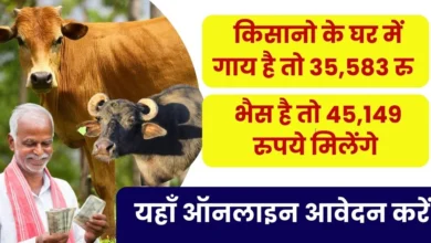 Animal Husbandry Scheme 2024