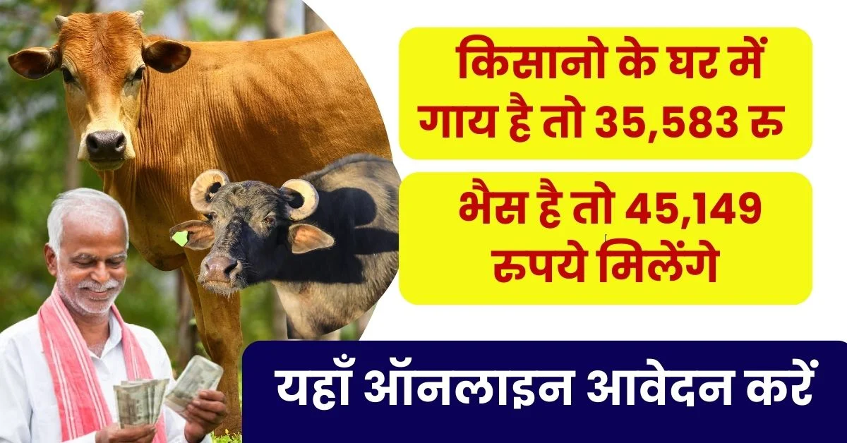 Animal Husbandry Scheme 2024