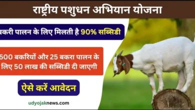 Goat Farming Apply Loan