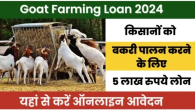 Goat Farming Loan 2024