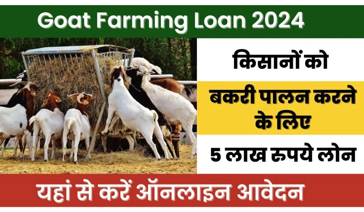 Goat Farming Loan 2024