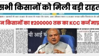 KCC Bank Loan 2024