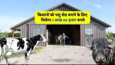 MGNREGA Pashu Shed Yojana 2024