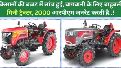 Mahindra 305 Orchard