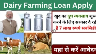 Dairy Farm Loan Apply 2024