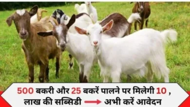 Govt Bakri Palan Scheme