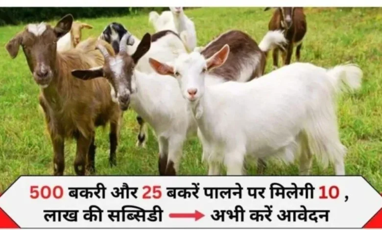 Govt Bakri Palan Scheme