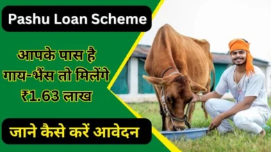 Pashu Loan Scheme 2024