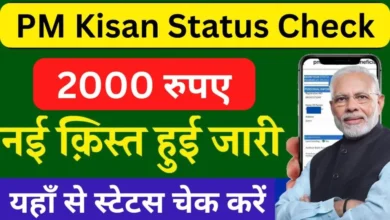 PM Kisan Status Check