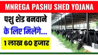 Pashu Shed Yojana Apply 2024