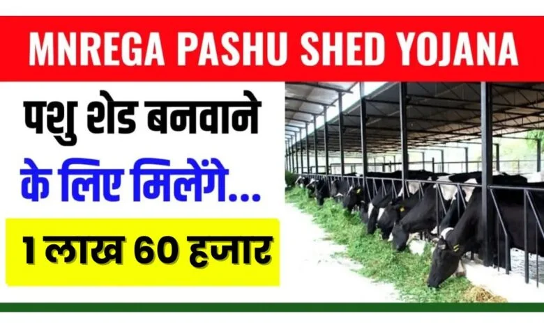 Pashu Shed Yojana Apply 2024