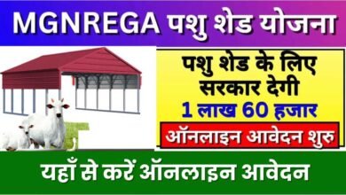 MGNREGA Pashu Shed Yojana 2024