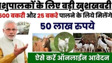 Apply Goat Farming Loan 2024