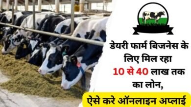 Dairy Farming Loan 2024