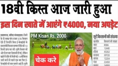 PM Kisan Status Check 2024