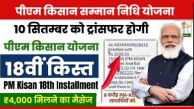 PM Kisan Payment Status 2024